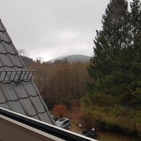 Fewo Allegra Goslar Exteriör bild